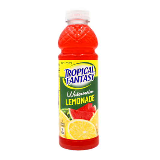 USA Tropical Fantasy Juice Cocktail - Watermelon - Lemonade - 591ml x 24 Stk